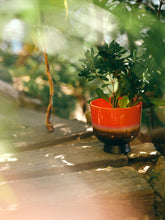 Load image into Gallery viewer, HKLIVING | Ceramic Retro Flower Pot | Cherry Red - LONDØNWORKS