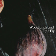 Load image into Gallery viewer, FIELDDAY | Folk Tin Candle | Forage - LONDØNWORKS