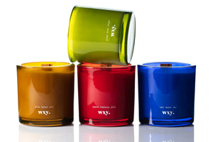 WXY | Roam Candle | Grass Moss Shade