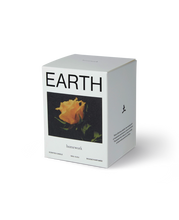 Load image into Gallery viewer, HOMEWORK| Candle | Earth