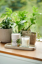 Load image into Gallery viewer, OSMOLOGY BY AERY | Candle | Citrus Tonic