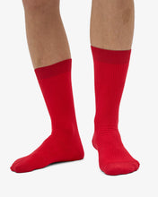 Load image into Gallery viewer, COLORFUL STANDARD |  Classic Organic Sock | Scarlet Red
