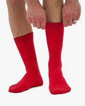 Load image into Gallery viewer, COLORFUL STANDARD |  Classic Organic Sock | Scarlet Red