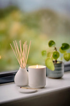 Load image into Gallery viewer, OSMOLOGY BY AERY | Candle | Nordic Cedar