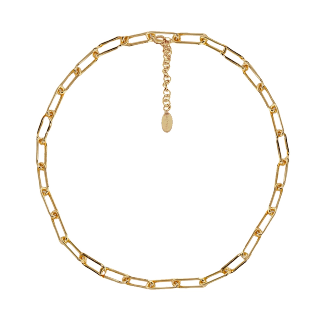 WHITE LEAF | Long Links Necklace | Gold