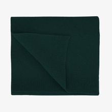 Load image into Gallery viewer, COLORFUL STANDARD | Merino Wool Scarf | Emerald Green