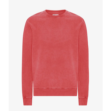 Load image into Gallery viewer, COLORFUL STANDARD | Classic Organic Crewneck | Faded Red