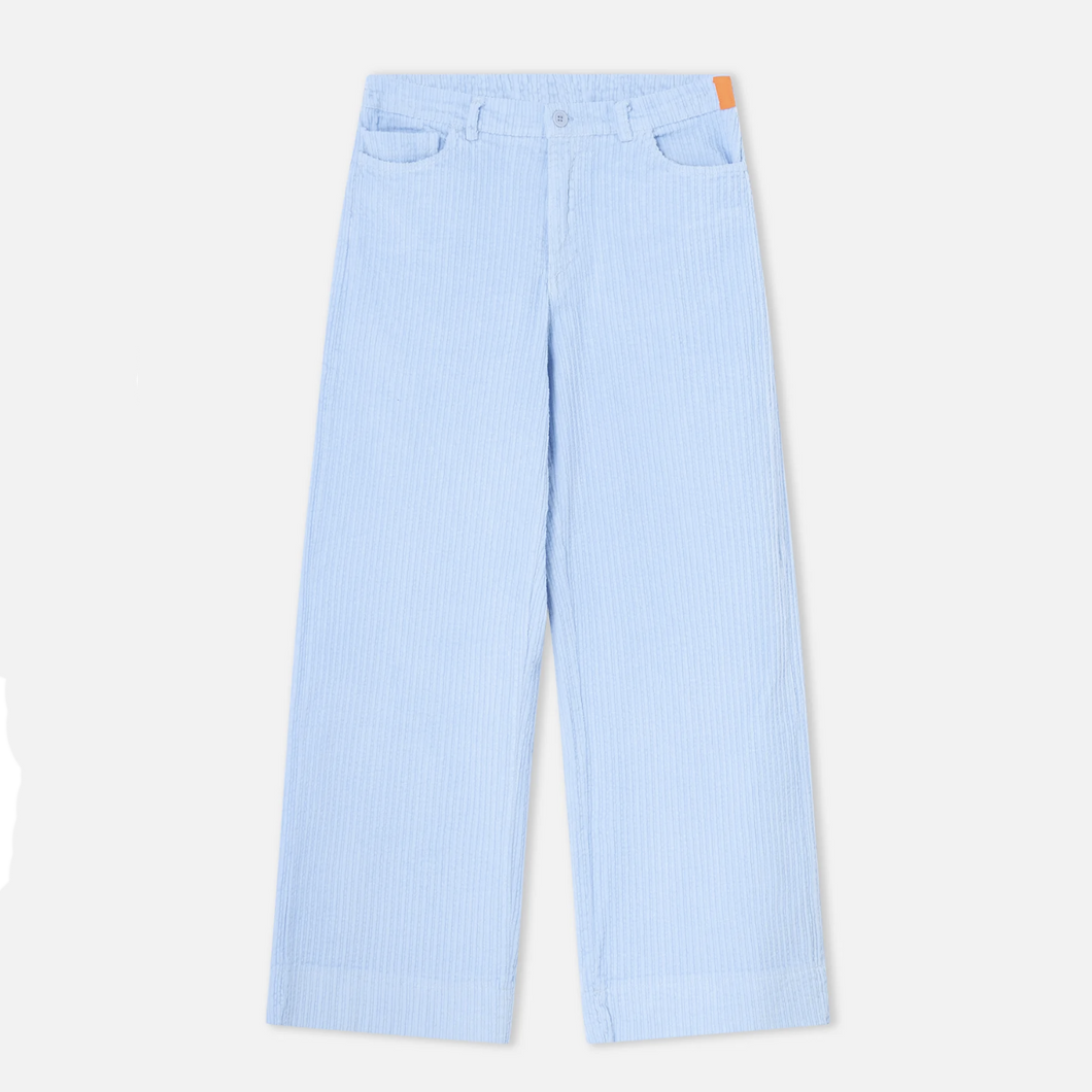 DR BLOOM | Corduroy Rose Pants | Sky Blue