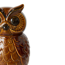 Load image into Gallery viewer, HKLIVING | Ceramic Owl Jar | Roasted Brown