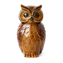 Load image into Gallery viewer, HKLIVING | Ceramic Owl Jar | Roasted Brown