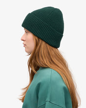 Load image into Gallery viewer, COLORFUL STANDARD |  Merino Wool Beanie | Emerald Green