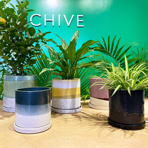 CHIVE | Mofo Minute, 6" Pot & Saucer | Green Blue - LONDØNWORKS
