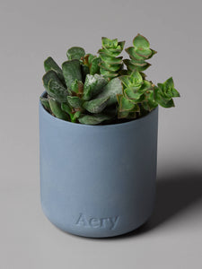 AERY | Japanese Garden Scented Candle | Blue Clay - LONDØNWORKS