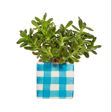 Load image into Gallery viewer, S &amp; B | Gingham Planter | Blue - LONDØNWORKS