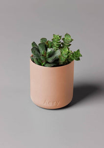 AERY | Aztec Tuberose Scented Candle | Peach Clay - LONDØNWORKS